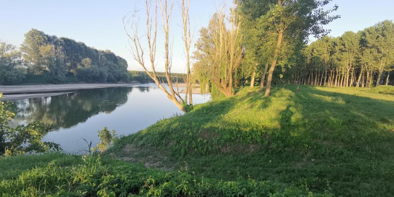 Villa PERTINI appartamento primo piano NEL PARCO OGLIO SUD Canneto sull'Oglio Esterno foto